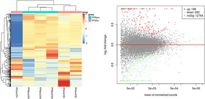 Knockout of Formyl Peptide Receptor-1 Attenuates Cigarette Smoke–Induced Airway Inflammation in Mice